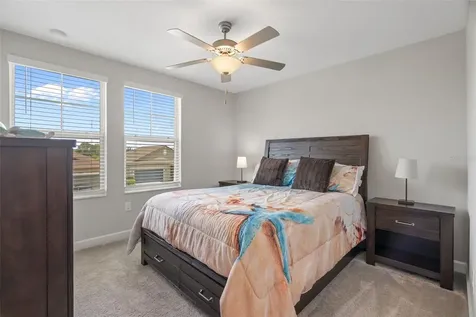 8755 Flourish Drive Land O Lakes FL 34637