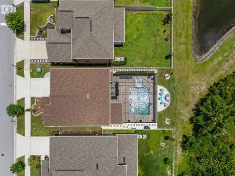 8755 Flourish Drive Land O Lakes FL 34637