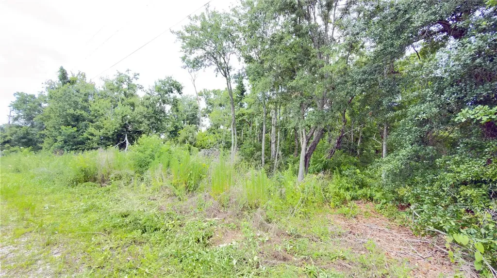 7402 Land Drive Wesley Chapel FL 33545