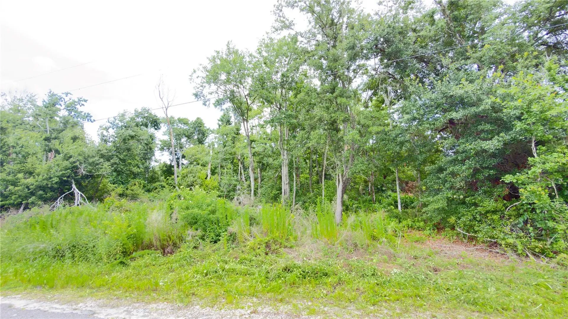 7402 Land Drive Wesley Chapel FL 33545