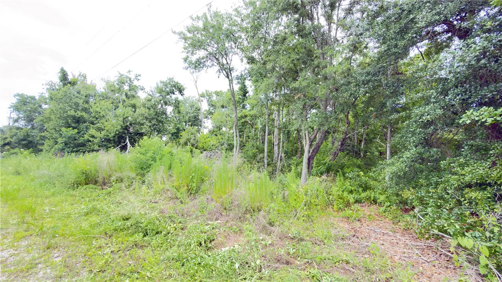 7402 Land Drive Wesley Chapel FL 33545