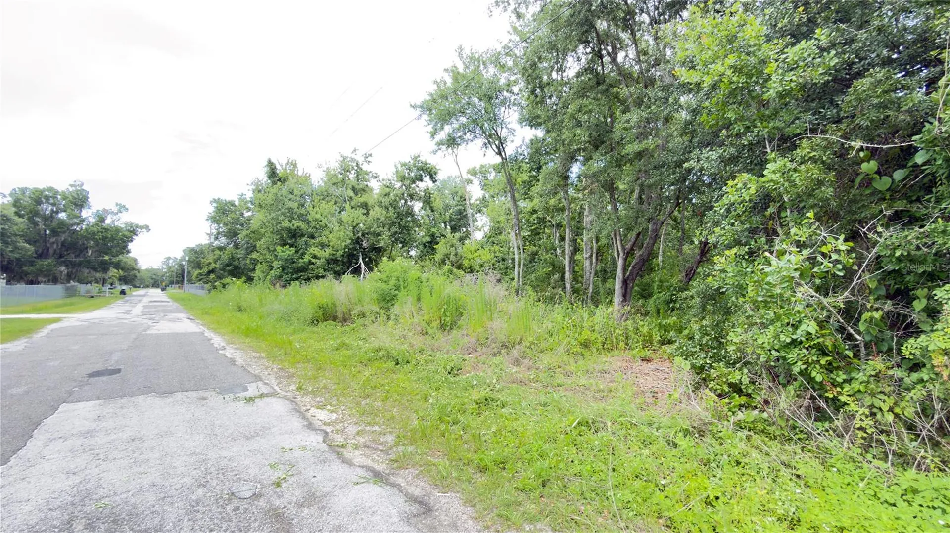 7402 Land Drive Wesley Chapel FL 33545