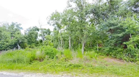 7402 Land Drive Wesley Chapel FL 33545