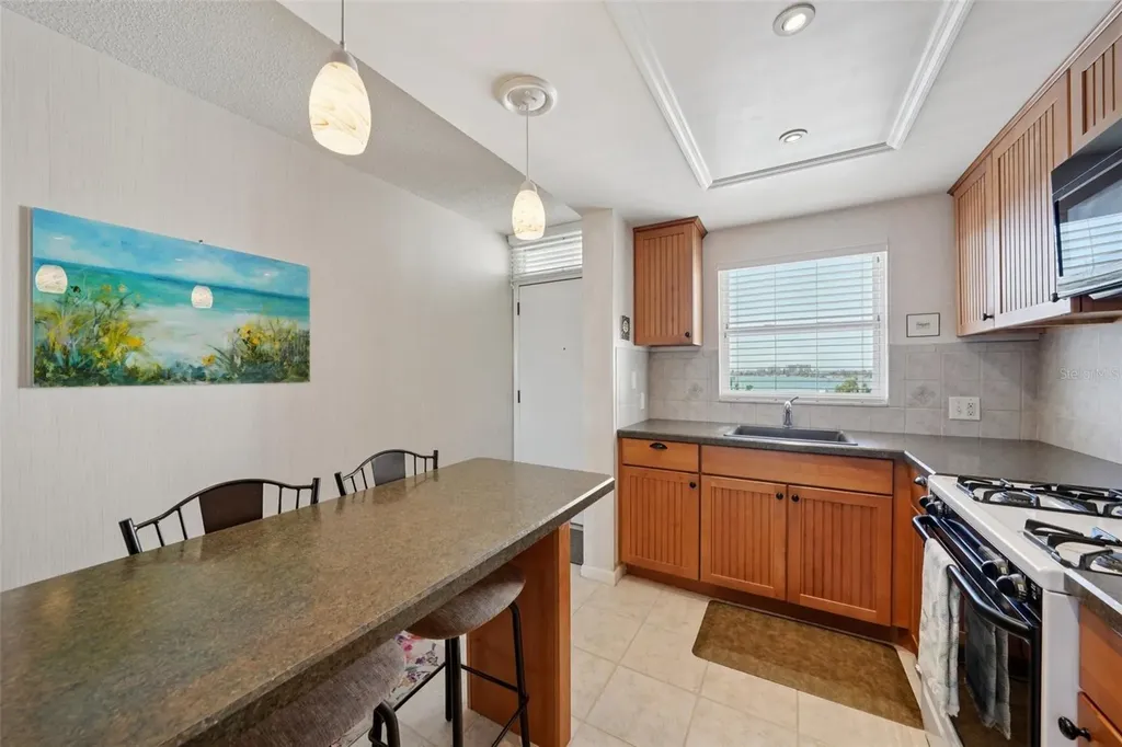 1847 Shore Drive S South Pasadena FL 33707