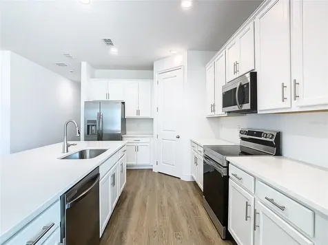 11165 Green Citron Alley Winter Garden FL 34787