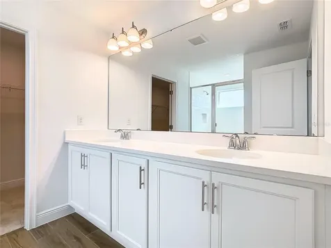 11165 Green Citron Alley Winter Garden FL 34787