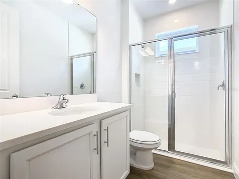 11165 Green Citron Alley Winter Garden FL 34787