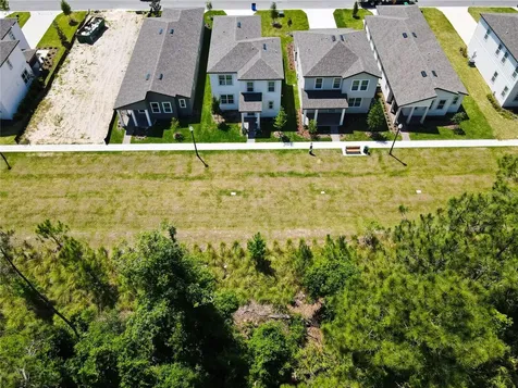 11165 Green Citron Alley Winter Garden FL 34787