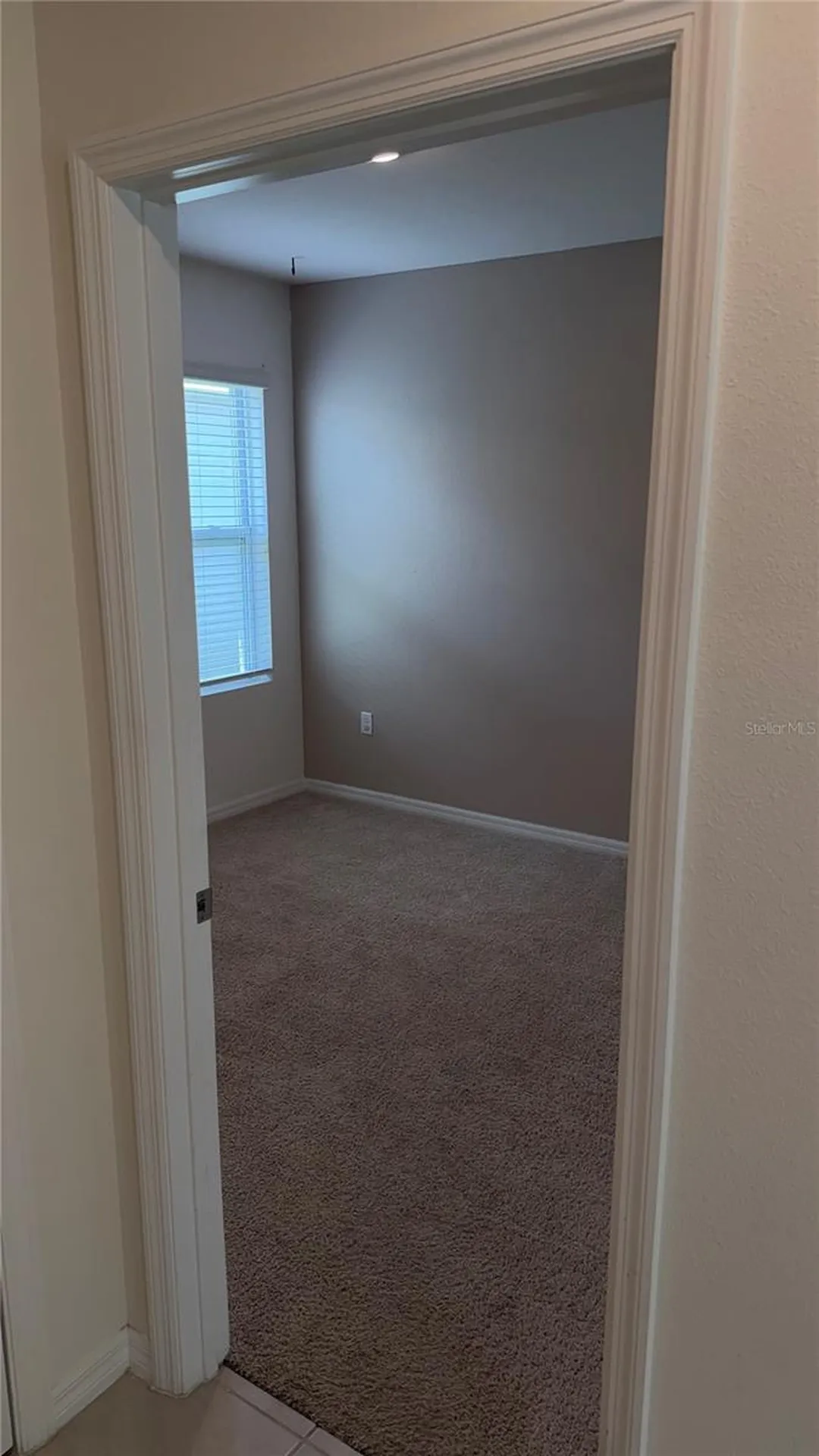 729 Brooklet Drive Davenport FL 33837