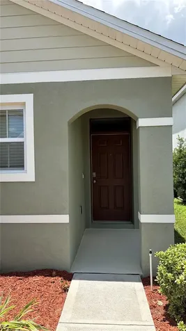 729 Brooklet Drive Davenport FL 33837