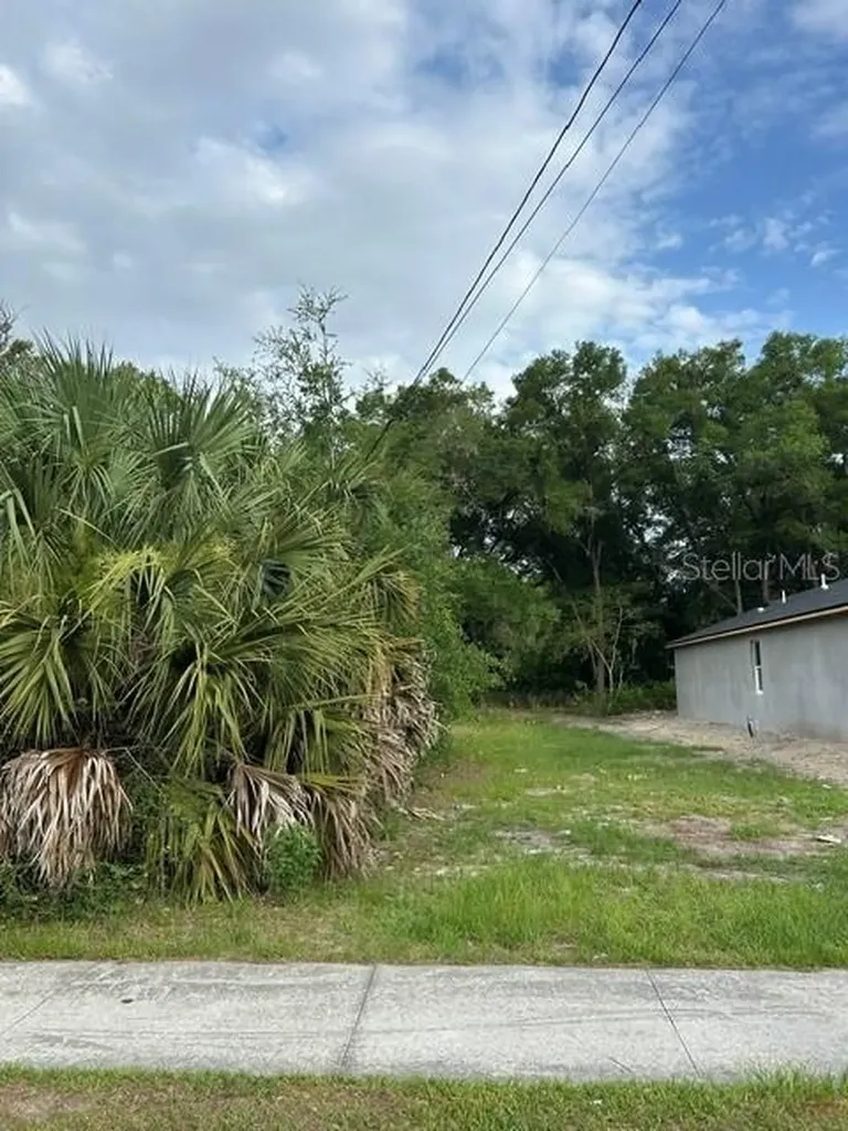 Palmetto Street Eustis FL 32726