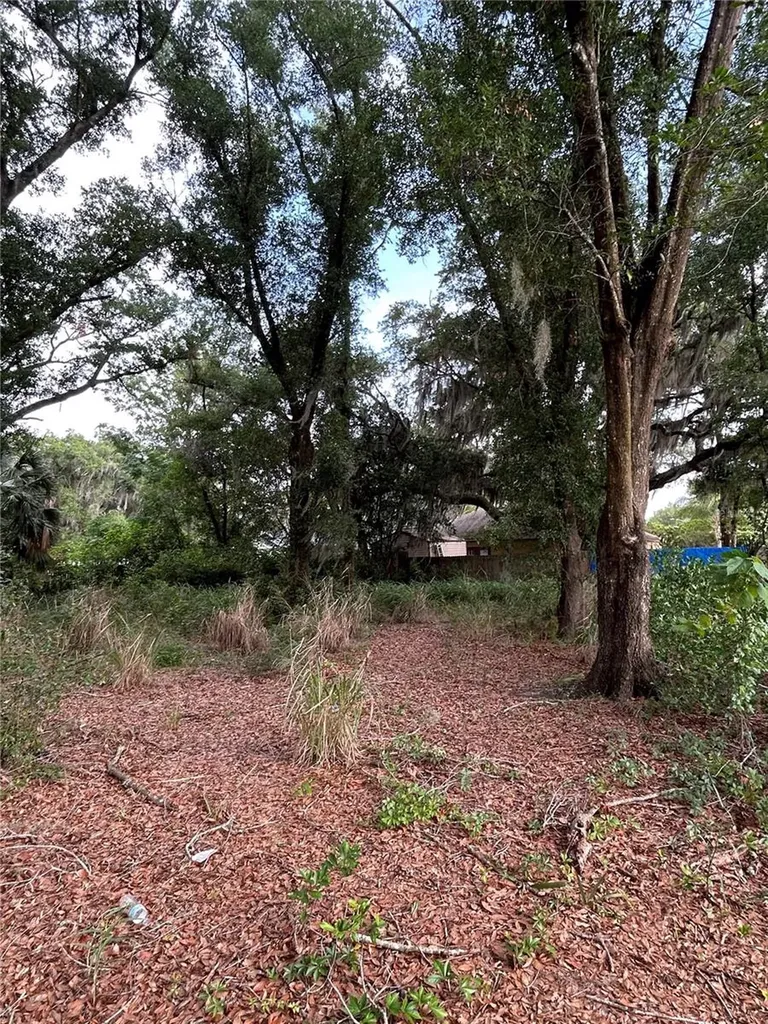 Palmetto Street Eustis FL 32726