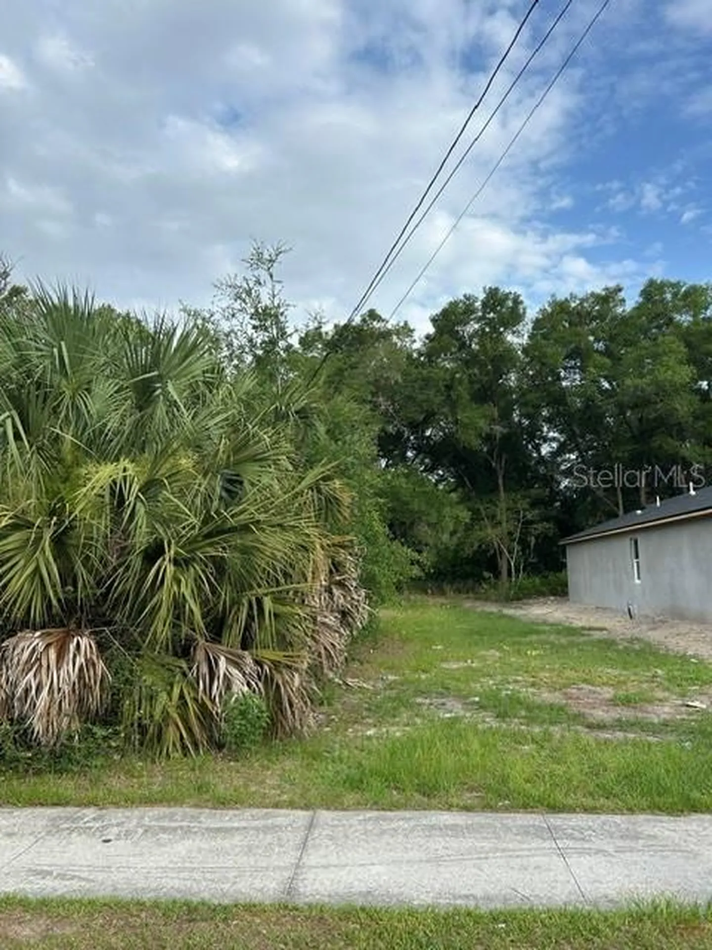 Palmetto Street Eustis FL 32726