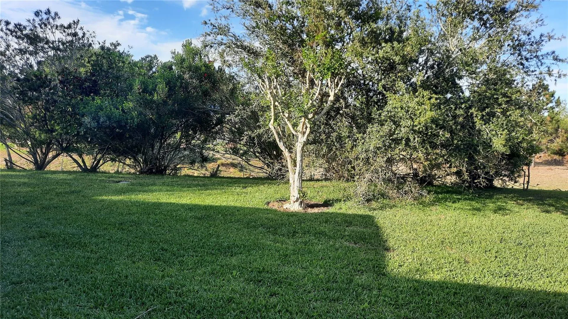 1315 Elli Circle Ormond Beach FL 32174