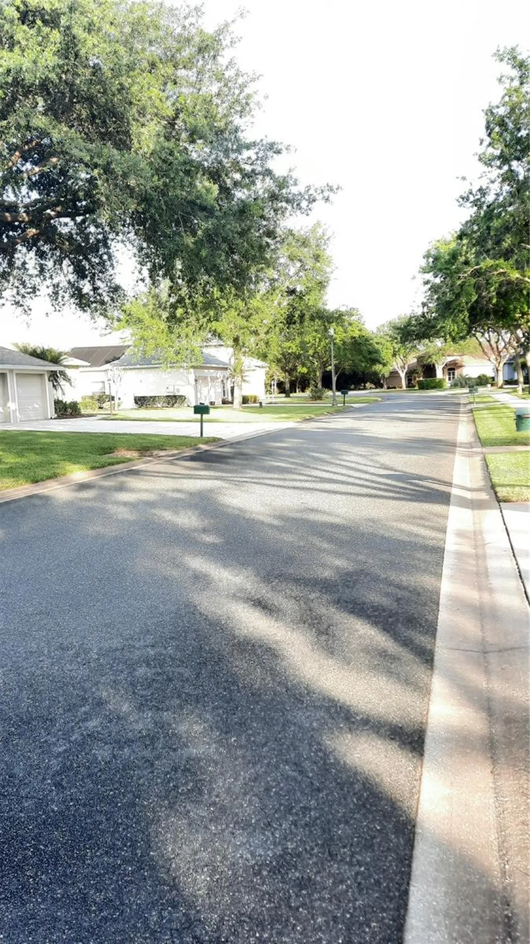 1315 Elli Circle Ormond Beach FL 32174