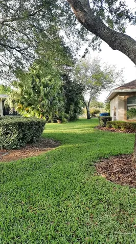 1315 Elli Circle Ormond Beach FL 32174
