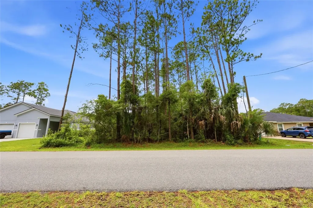 73 Ullian Trail Palm Coast FL 32164