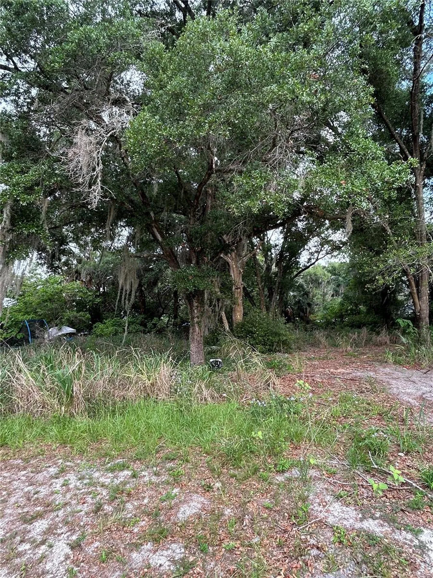 508 Palmetto Street Eustis FL 32726