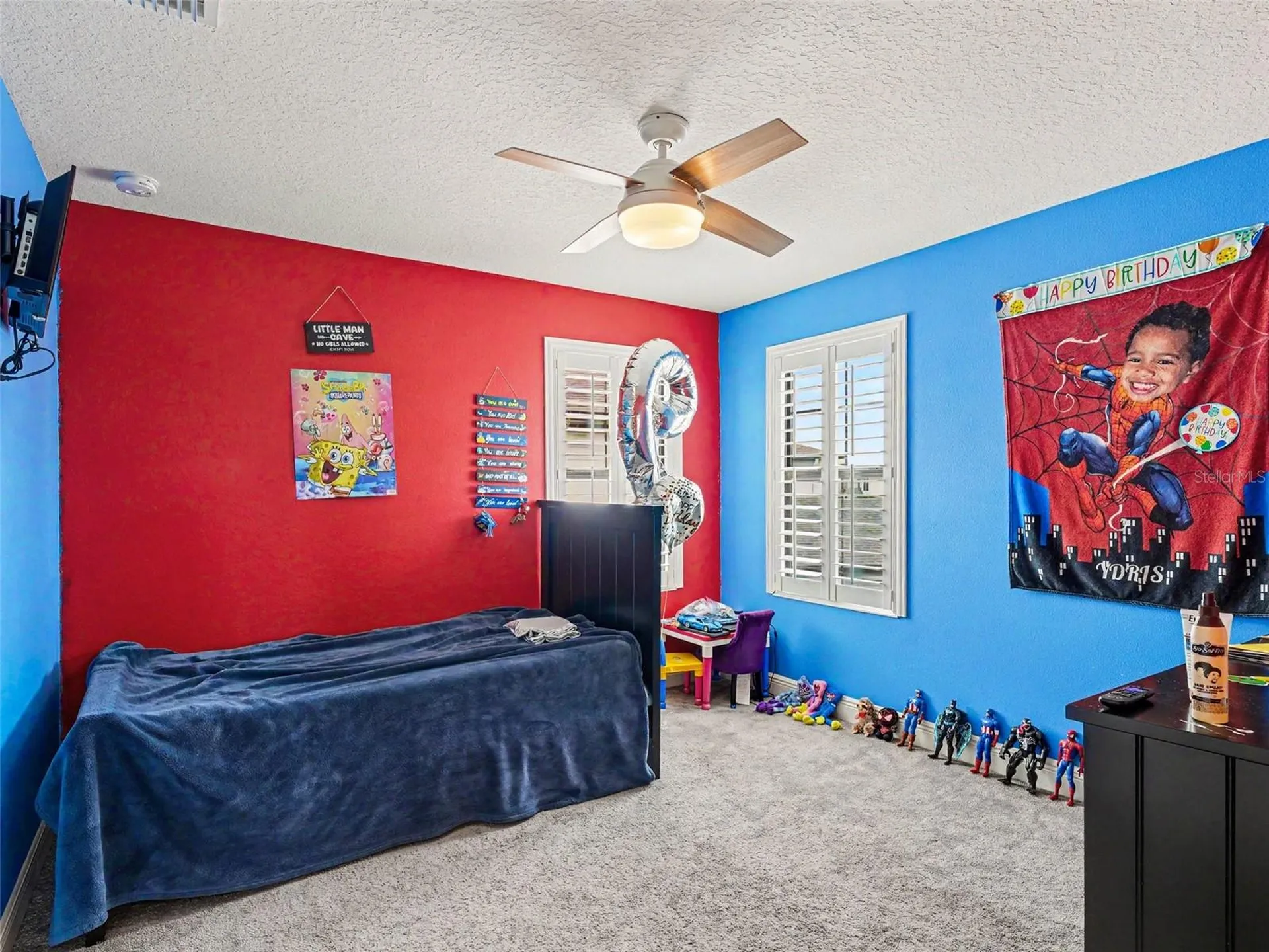 13116 Foxtail Fern Drive Riverview FL 33579