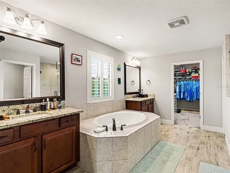 13116 Foxtail Fern Drive Riverview FL 33579