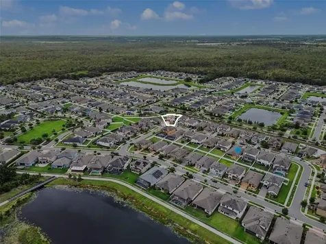 13116 Foxtail Fern Drive Riverview FL 33579