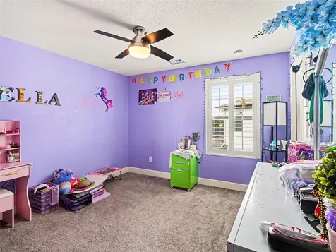 13116 Foxtail Fern Drive Riverview FL 33579