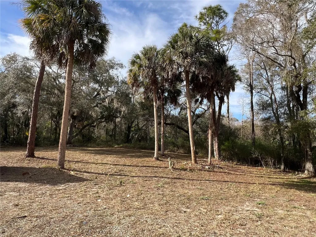 Crystal River FL 34428