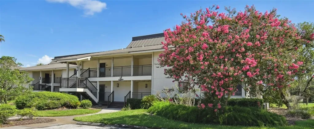 29129 Bay Hollow Drive Wesley Chapel FL 33543