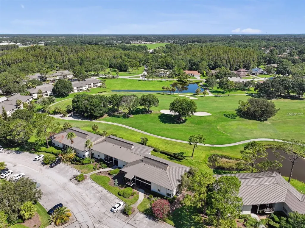 29129 Bay Hollow Drive Wesley Chapel FL 33543