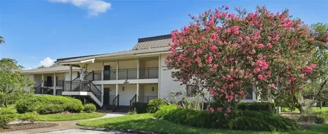 29129 Bay Hollow Drive Wesley Chapel FL 33543