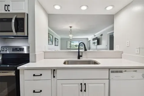 29129 Bay Hollow Drive Wesley Chapel FL 33543