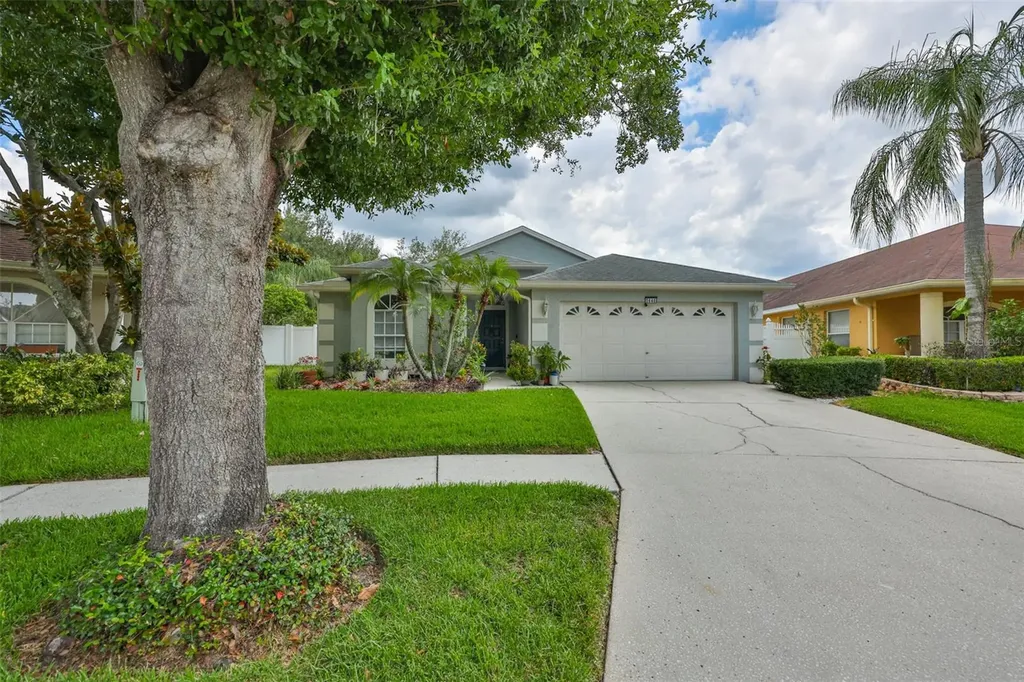 5646 Tughill Drive Tampa FL 33624