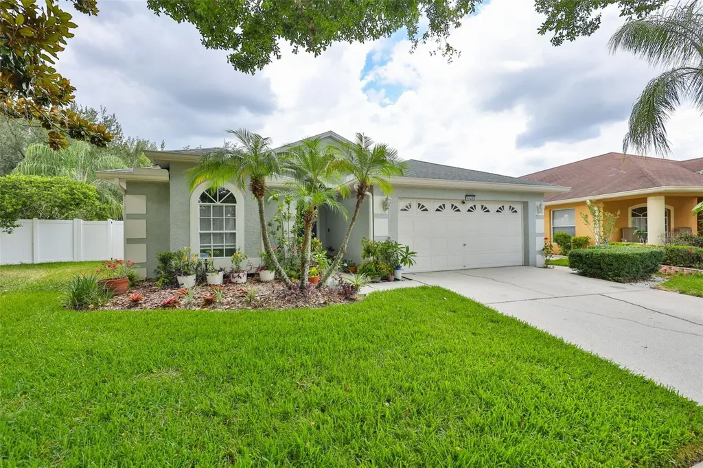 5646 Tughill Drive Tampa FL 33624