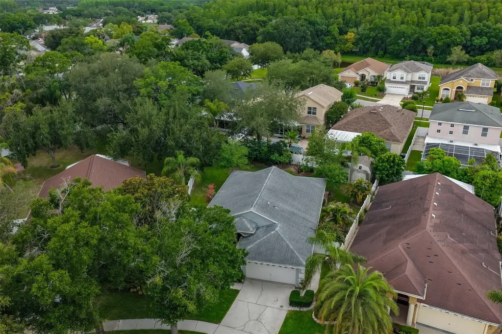 5646 Tughill Drive Tampa FL 33624
