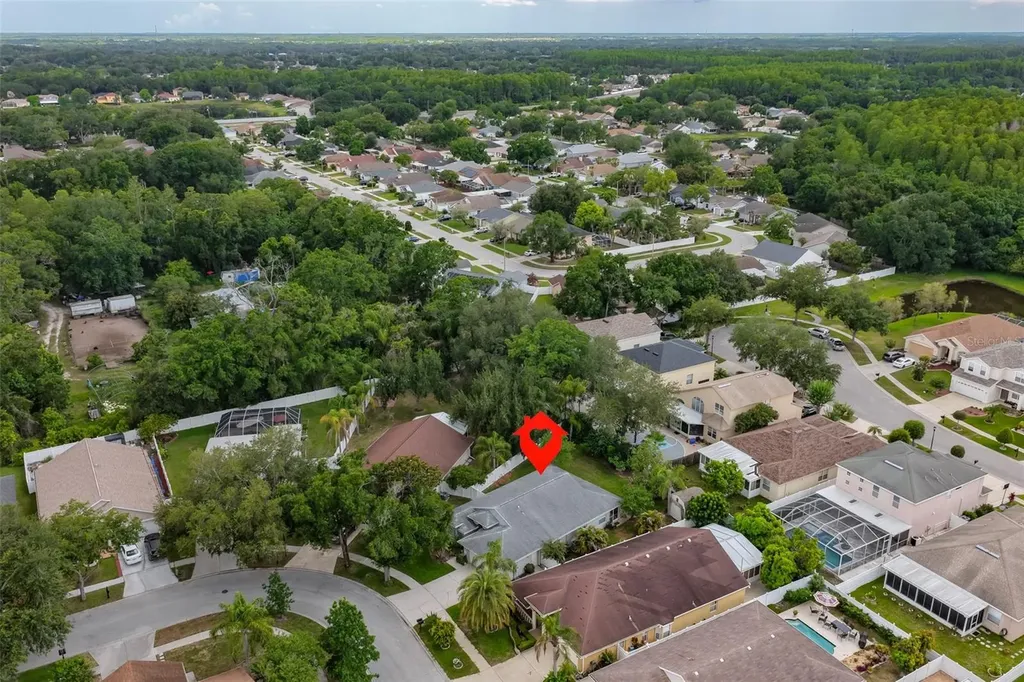 5646 Tughill Drive Tampa FL 33624