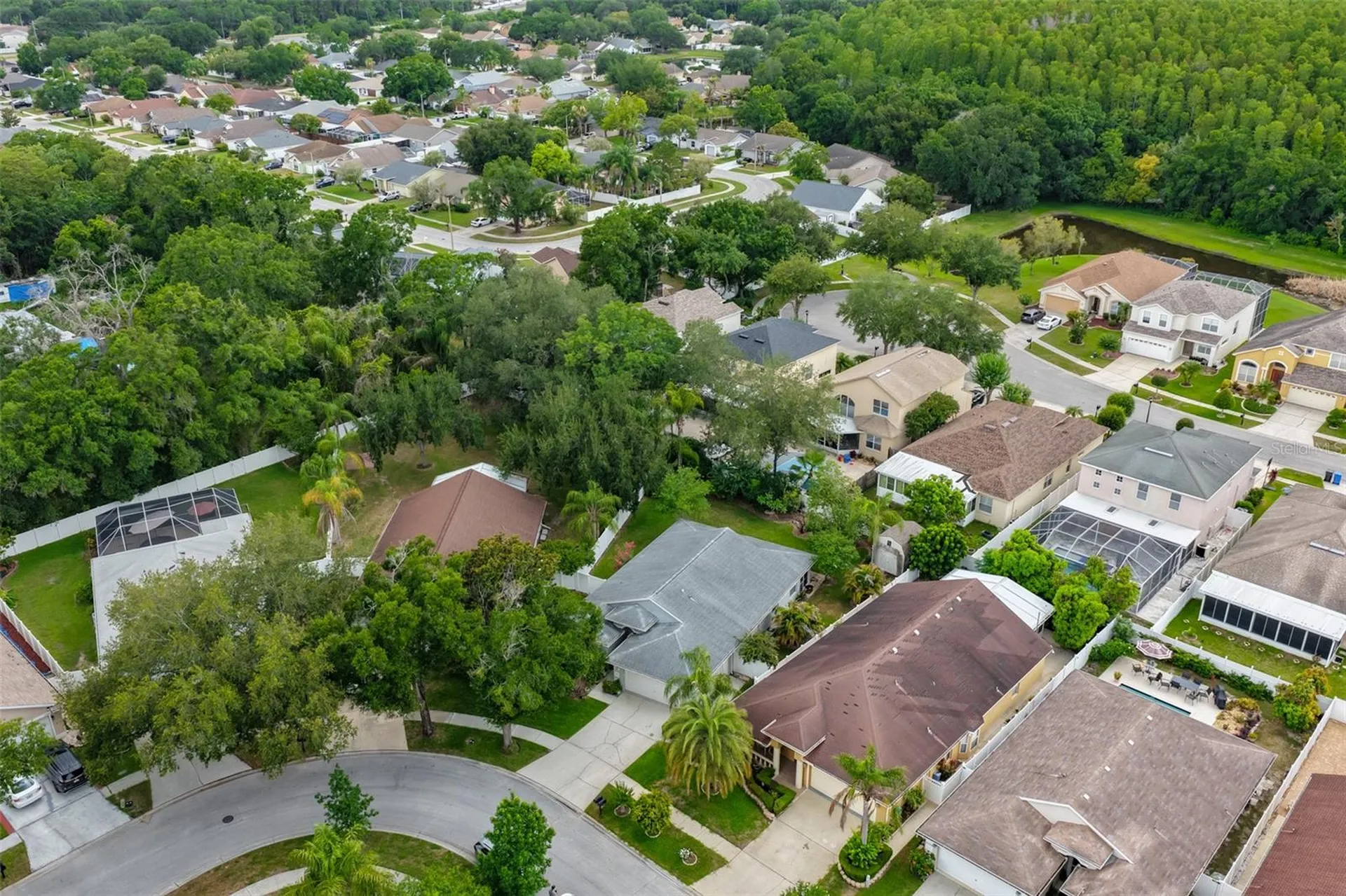 5646 Tughill Drive Tampa FL 33624