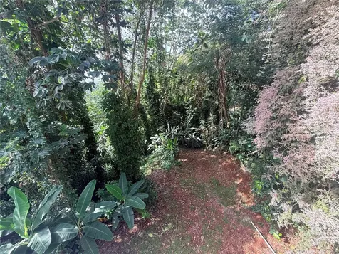 Carr. 349 Cerro Las Mesas Mayaguez PR 00680