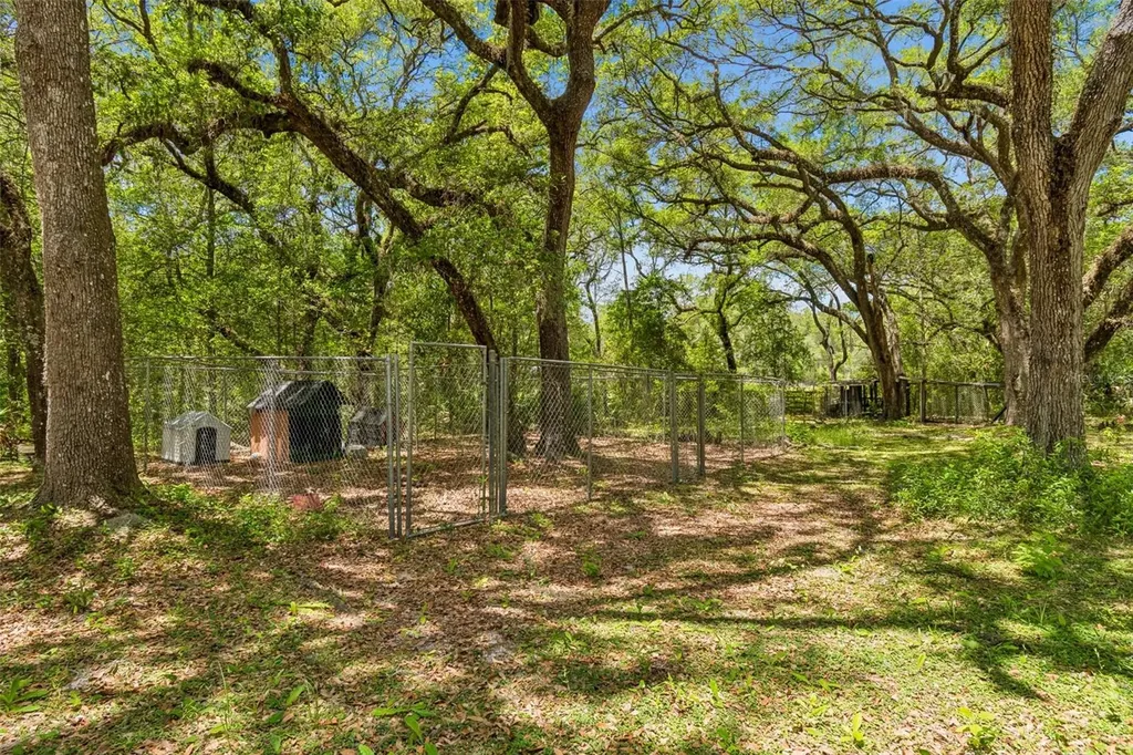 8855 SW 146th Place Dunnellon FL 34432