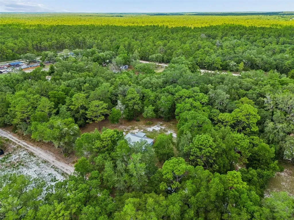 8855 SW 146th Place Dunnellon FL 34432