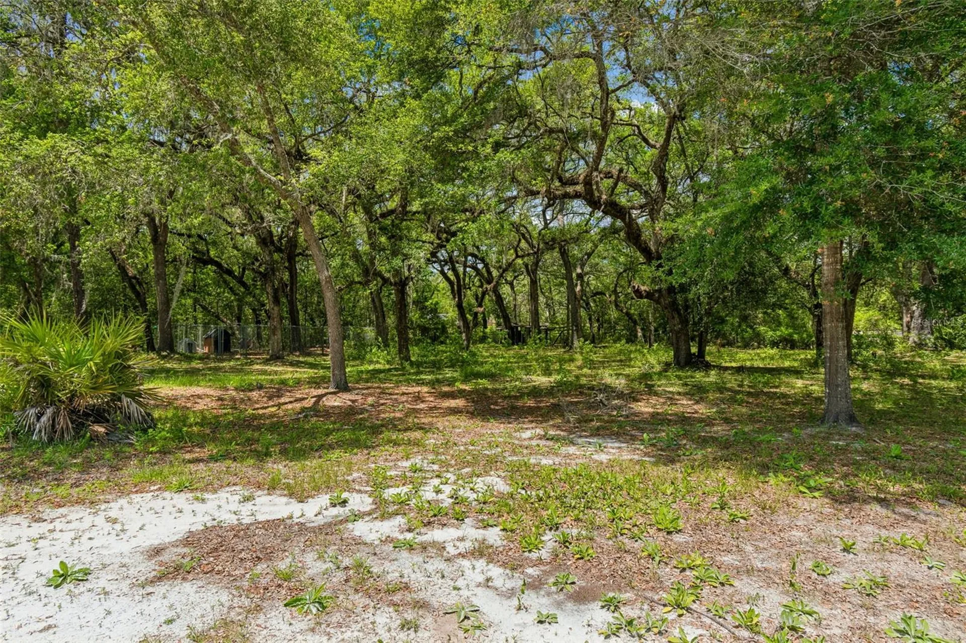 8855 SW 146th Place Dunnellon FL 34432