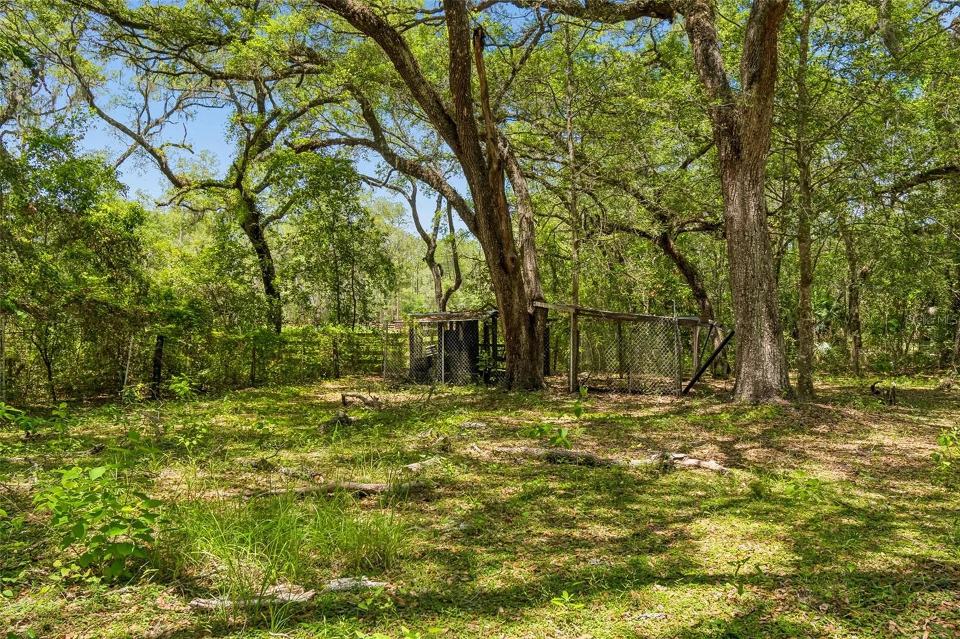 8855 SW 146th Place Dunnellon FL 34432
