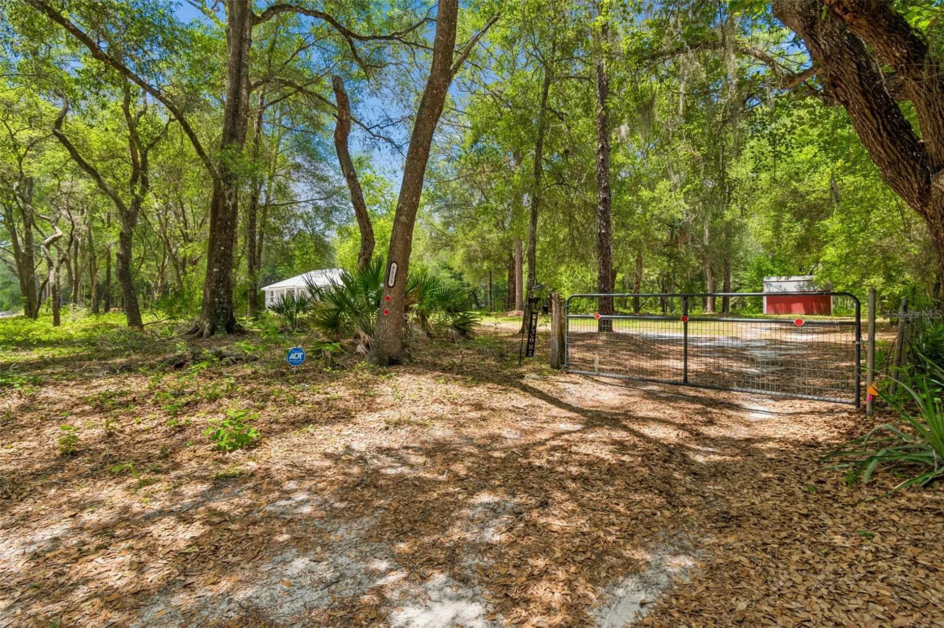 8855 SW 146th Place Dunnellon FL 34432
