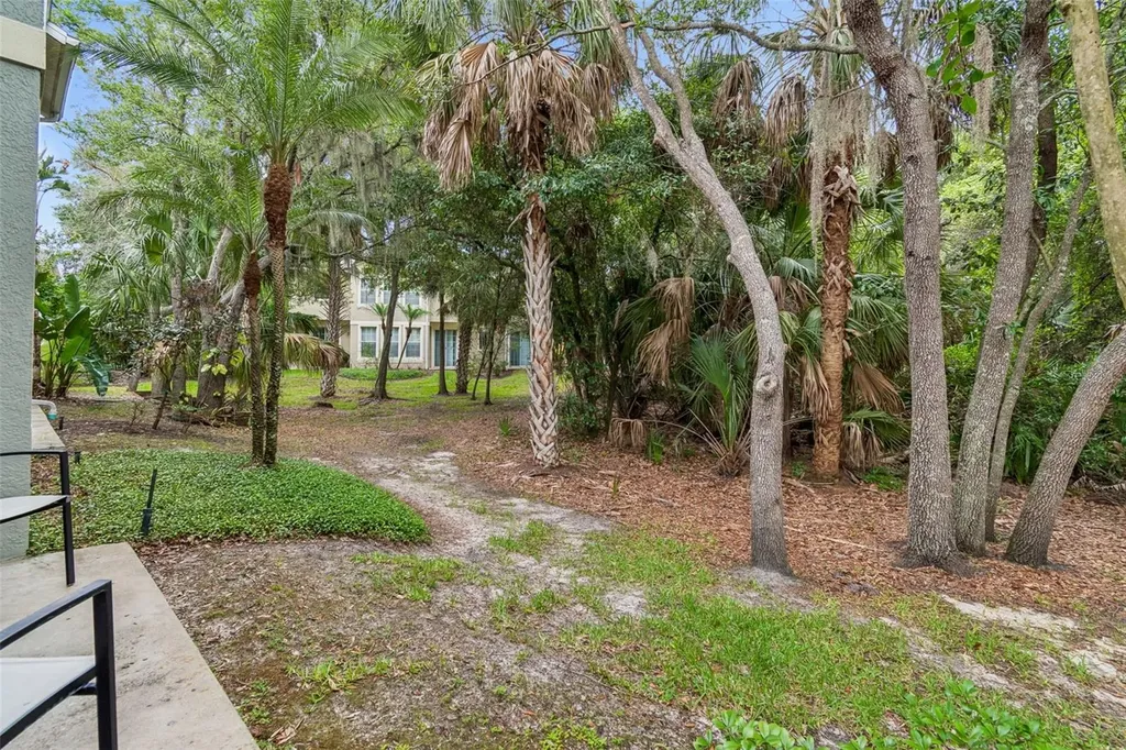 6734 Breezy Palm Drive Riverview FL 33578