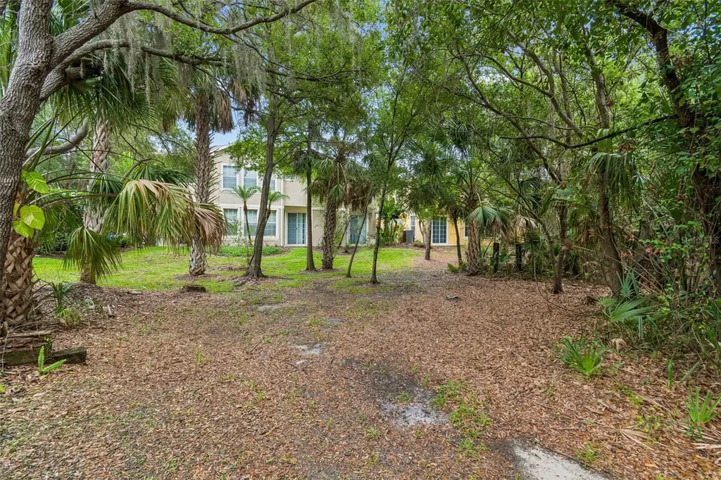 6734 Breezy Palm Drive Riverview FL 33578