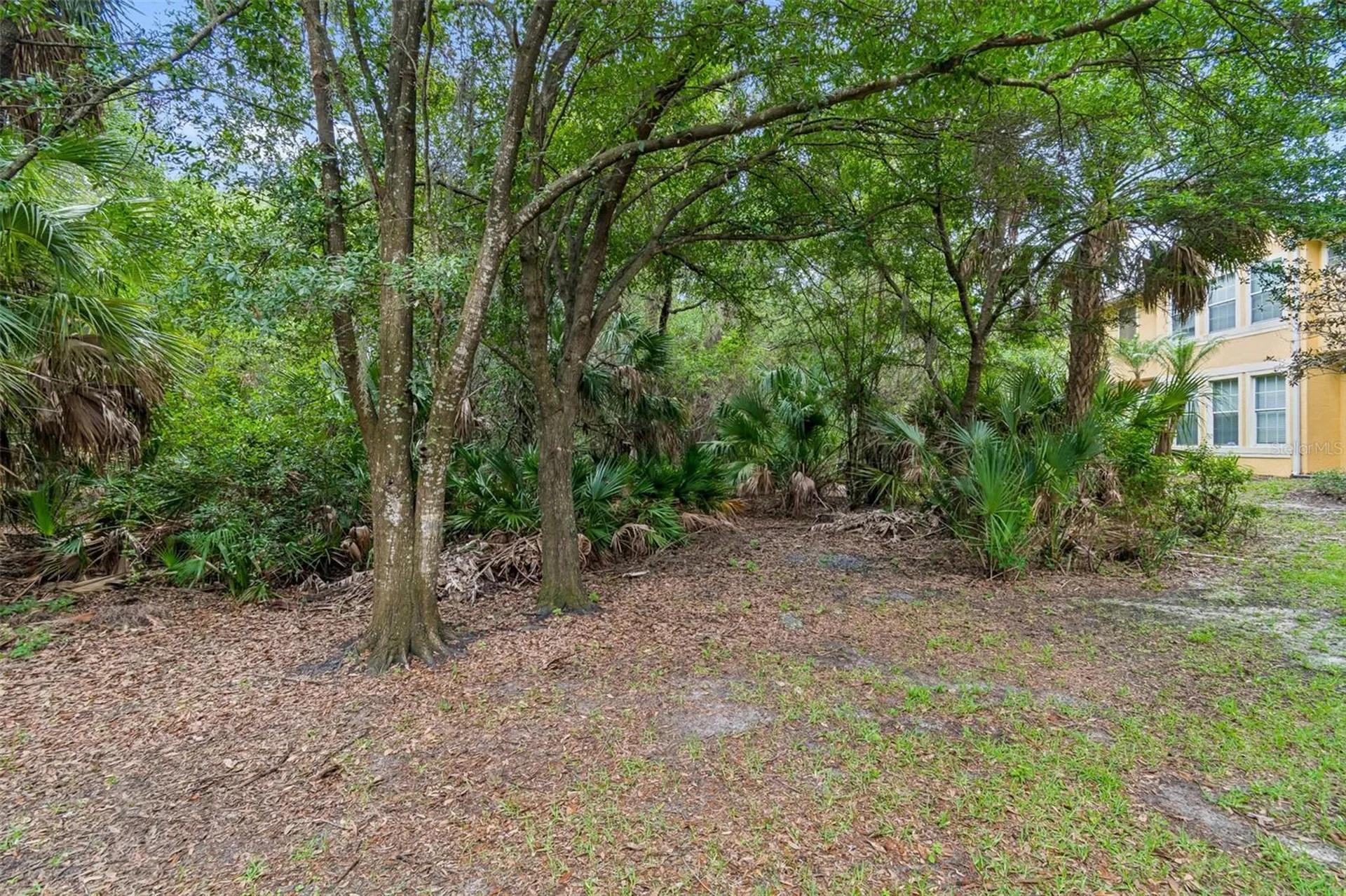 6734 Breezy Palm Drive Riverview FL 33578