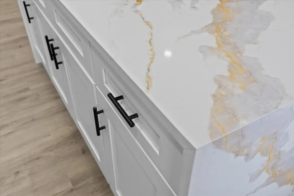 10609 Out Island Drive Tampa FL 33615