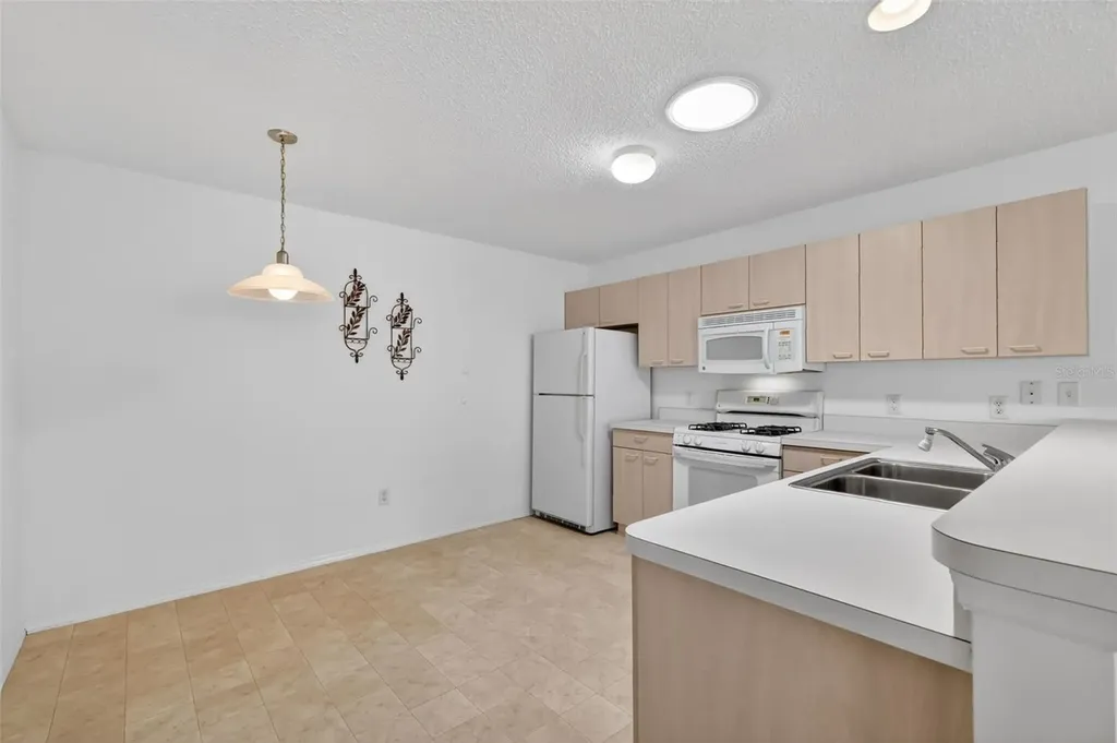 17436 SE 81st Newberry Court The Villages FL 32162