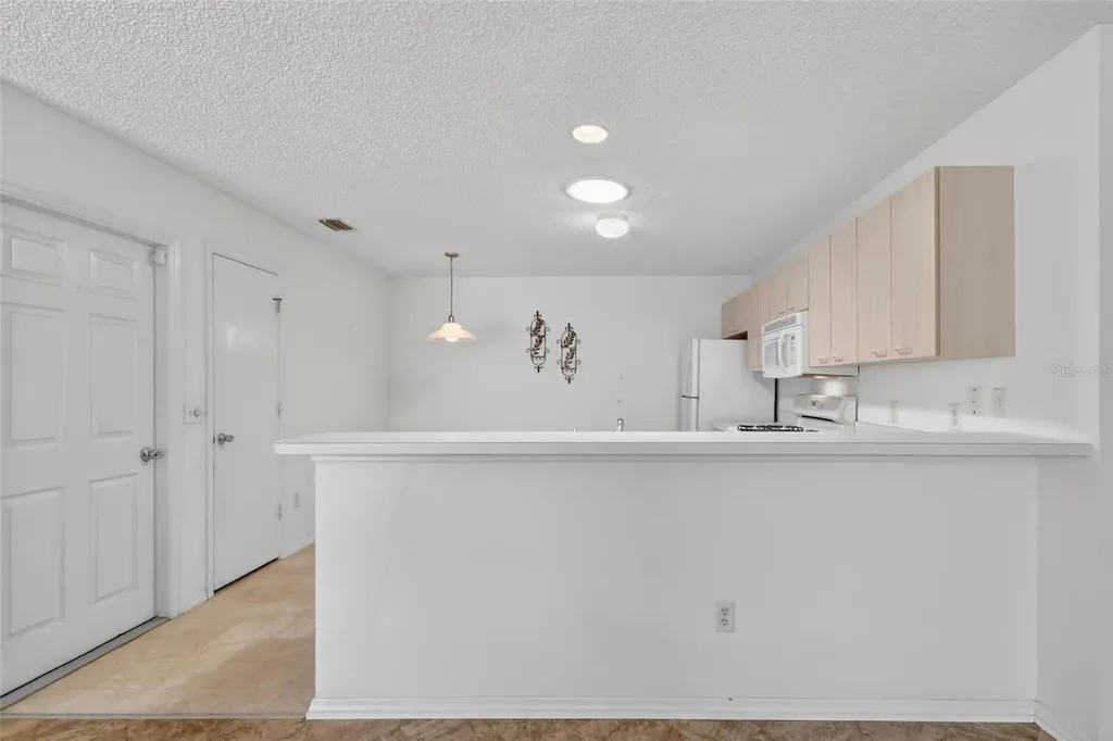 17436 SE 81st Newberry Court The Villages FL 32162