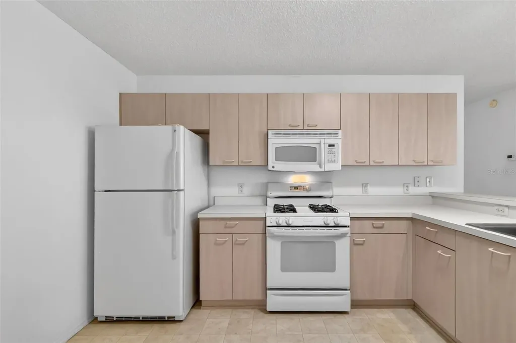 17436 SE 81st Newberry Court The Villages FL 32162