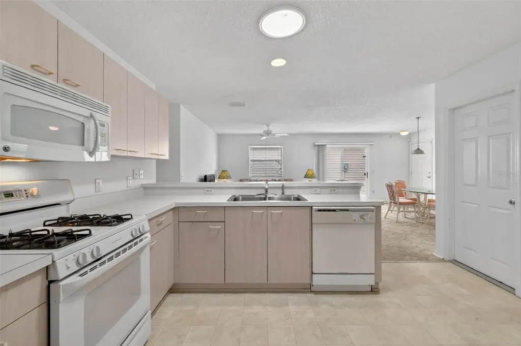 17436 SE 81st Newberry Court The Villages FL 32162